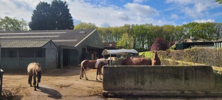 Tread horse welfare Nature Gate of Loon7