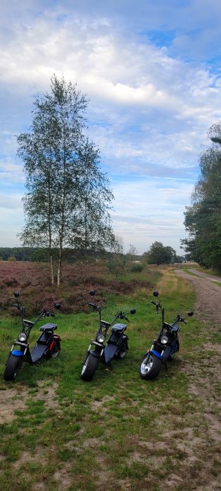 E-Scooter-Verleih_ Nature Gate of Loon _Loonse en Drunense duinen